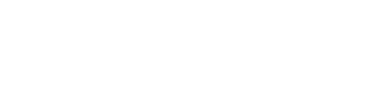 MEDICS3D